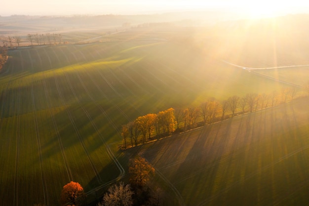 为什么越来越多的人要低糖饮食?_1